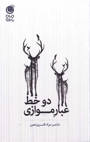 پایانه - دو خط غبار موازی