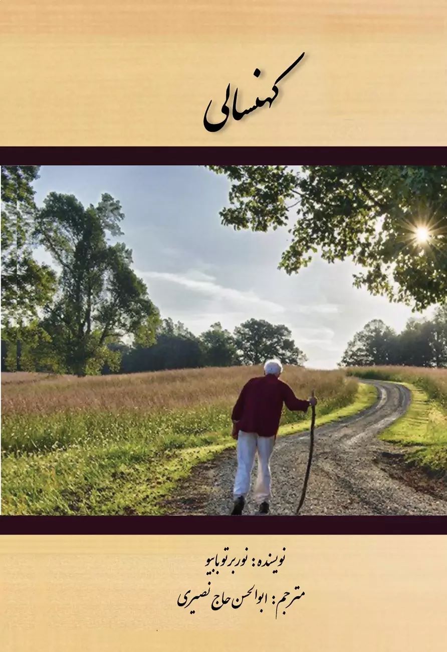 پایانه - کهنسالی