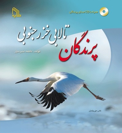 پایانه - پرندگان تالابی خزر جنوبی