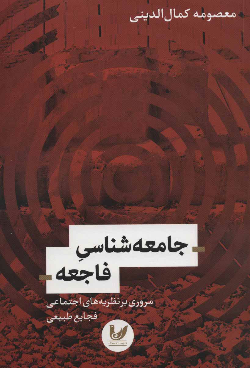 پایانه - جامعه شناسی فاجعه