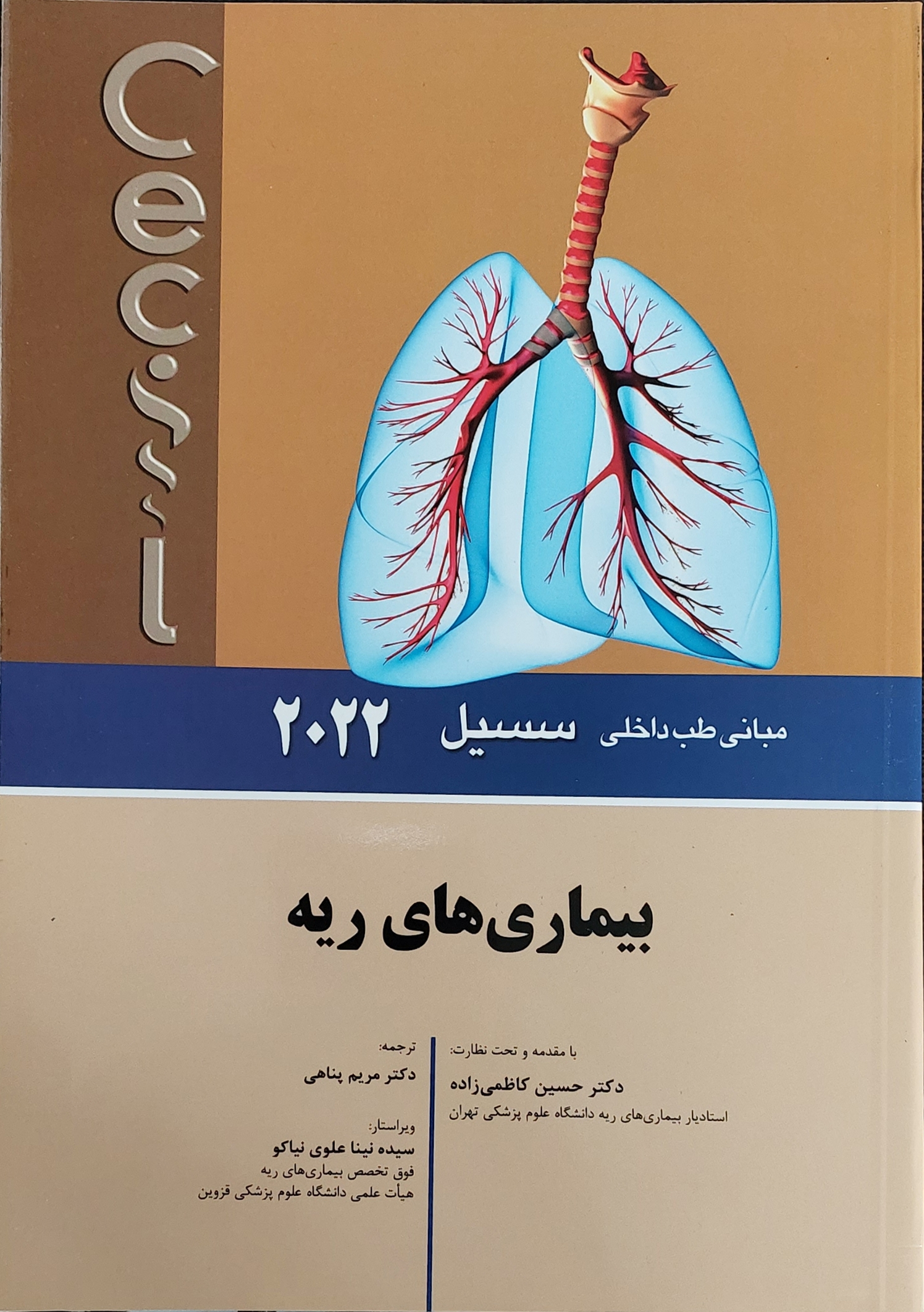 پایانه - بیماری های ریه