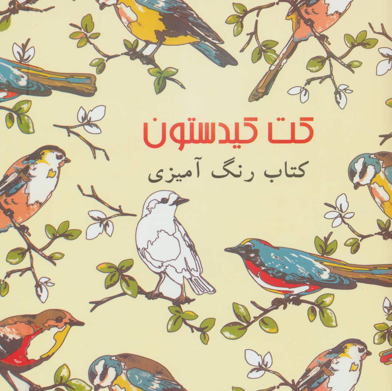 پایانه - کت کیدستون