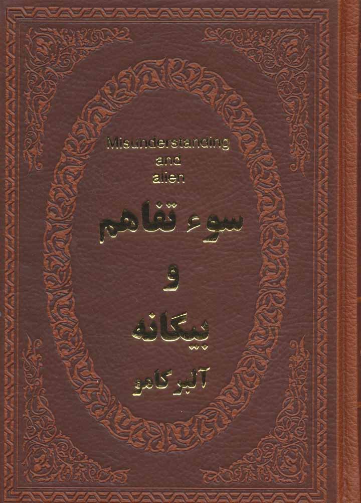 پایانه - سوء تفاهم و بیگانه
