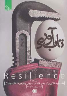 پایانه - تاب آوری