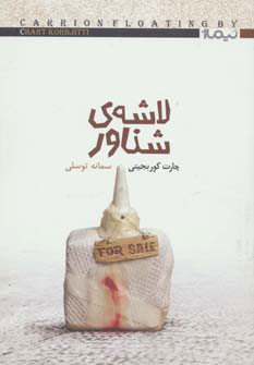 پایانه - لاشه ی شناور