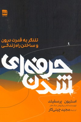 پایانه - حرفه ای شدن