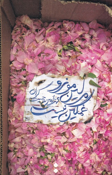 پایانه - مرلین مونرو غمگین نیست