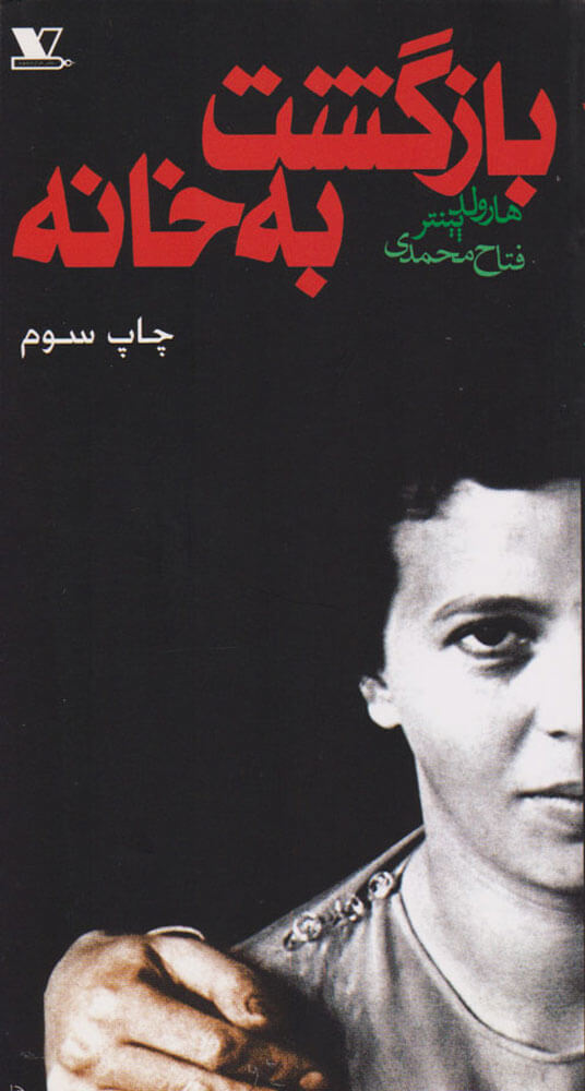 پایانه - بازگشت به خانه