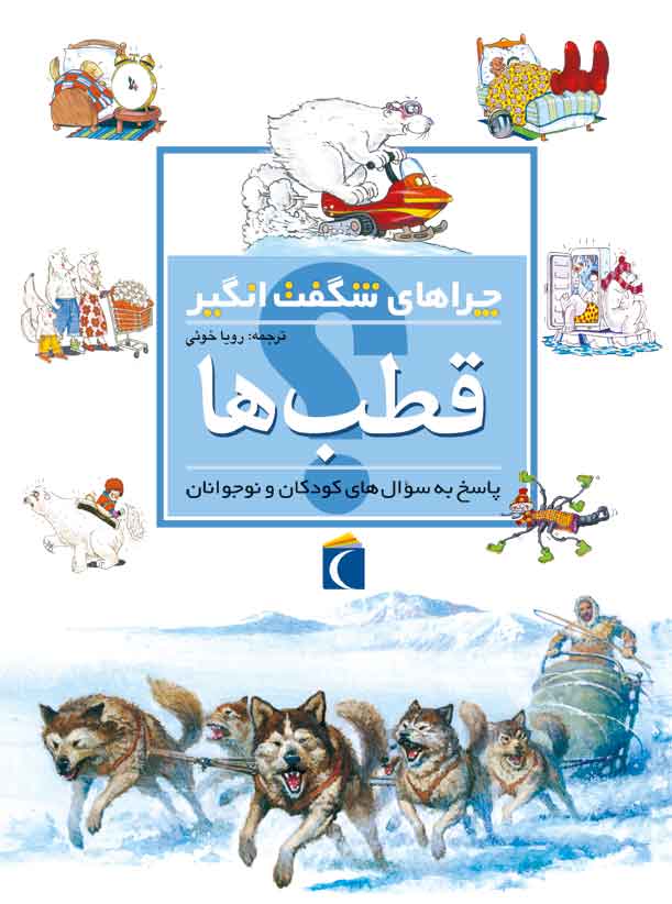 پایانه - قطب ها