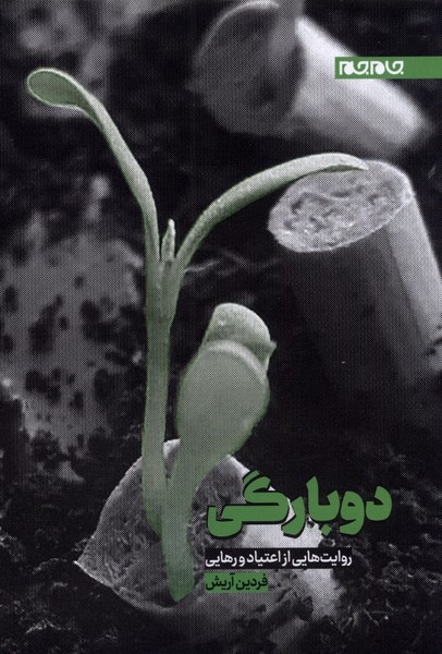 پایانه - دوبارگی