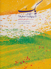 پایانه - یک جلوش تا بینهایت صفرها