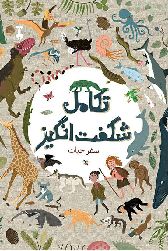 پایانه - تکامل شگفت انگیز