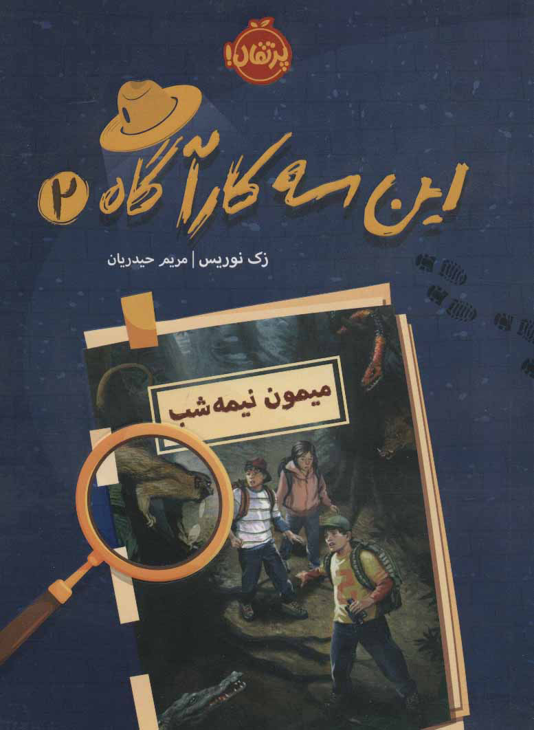 پایانه - این سه کارآگاه 2