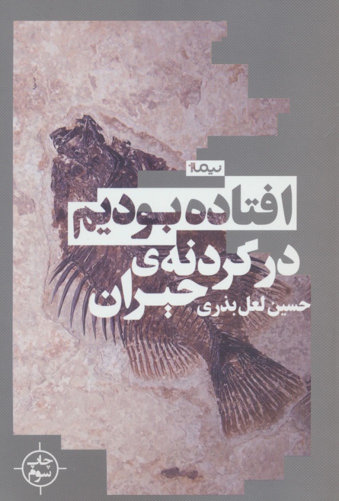 پایانه - افتاده بودیم در گردنه ی حیران