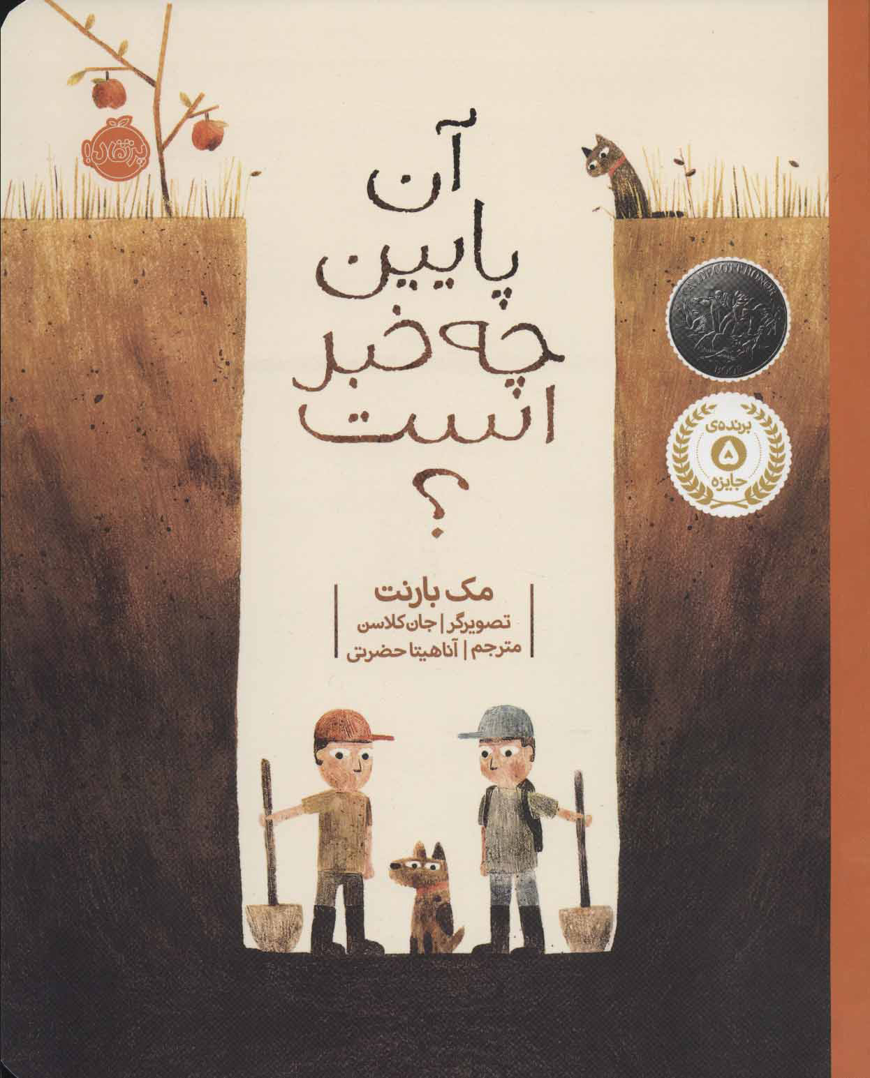 پایانه - آن پایین چه خبر است؟