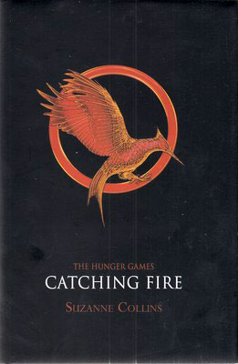 پایانه - Catching fire