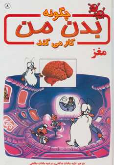 پایانه - چگونه بدن من کار می کند 8