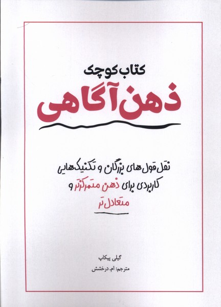 پایانه - کوچک ذهن آگاهی