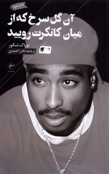 پایانه - آن گل سرخ که از میان کانکرت رویید