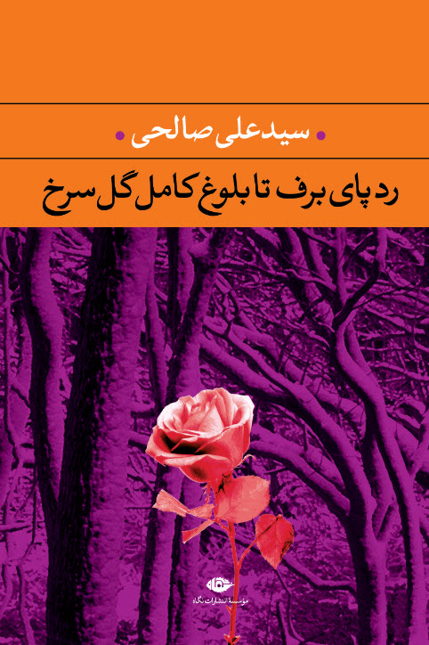 پایانه - رد پای برف تا بلوغ کامل گل سرخ