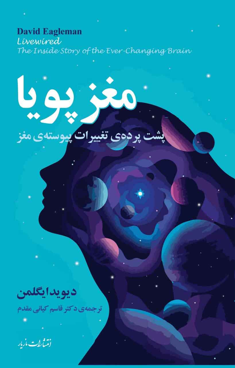 پایانه - مغز پویا