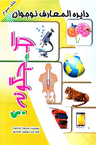 پایانه - چرا و چگونه ؟ (3)