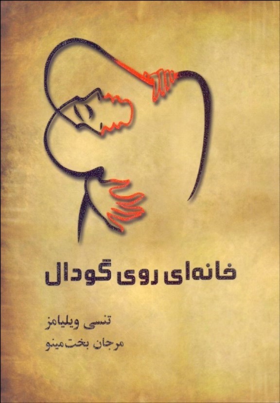 پایانه - خانه ای روی گودال