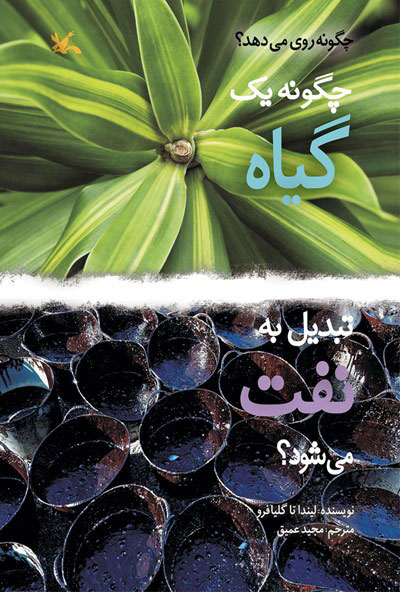 پایانه - چگونه یک گیاه تبدیل به نفت می شود؟