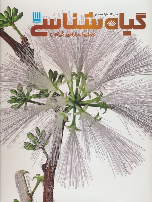 پایانه - دایره المعارف مصور گیاه شناسی