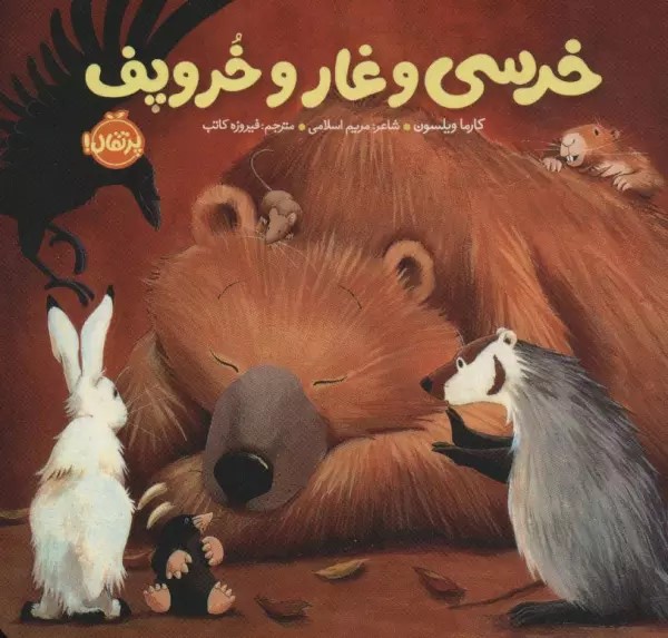 پایانه - خرسی و غار و خروپف