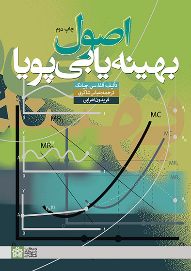 پایانه - اصول بهینه یابی پویا