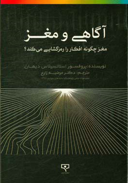 پایانه - آگاهی و مغز