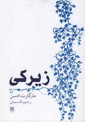 پایانه - زیرکی