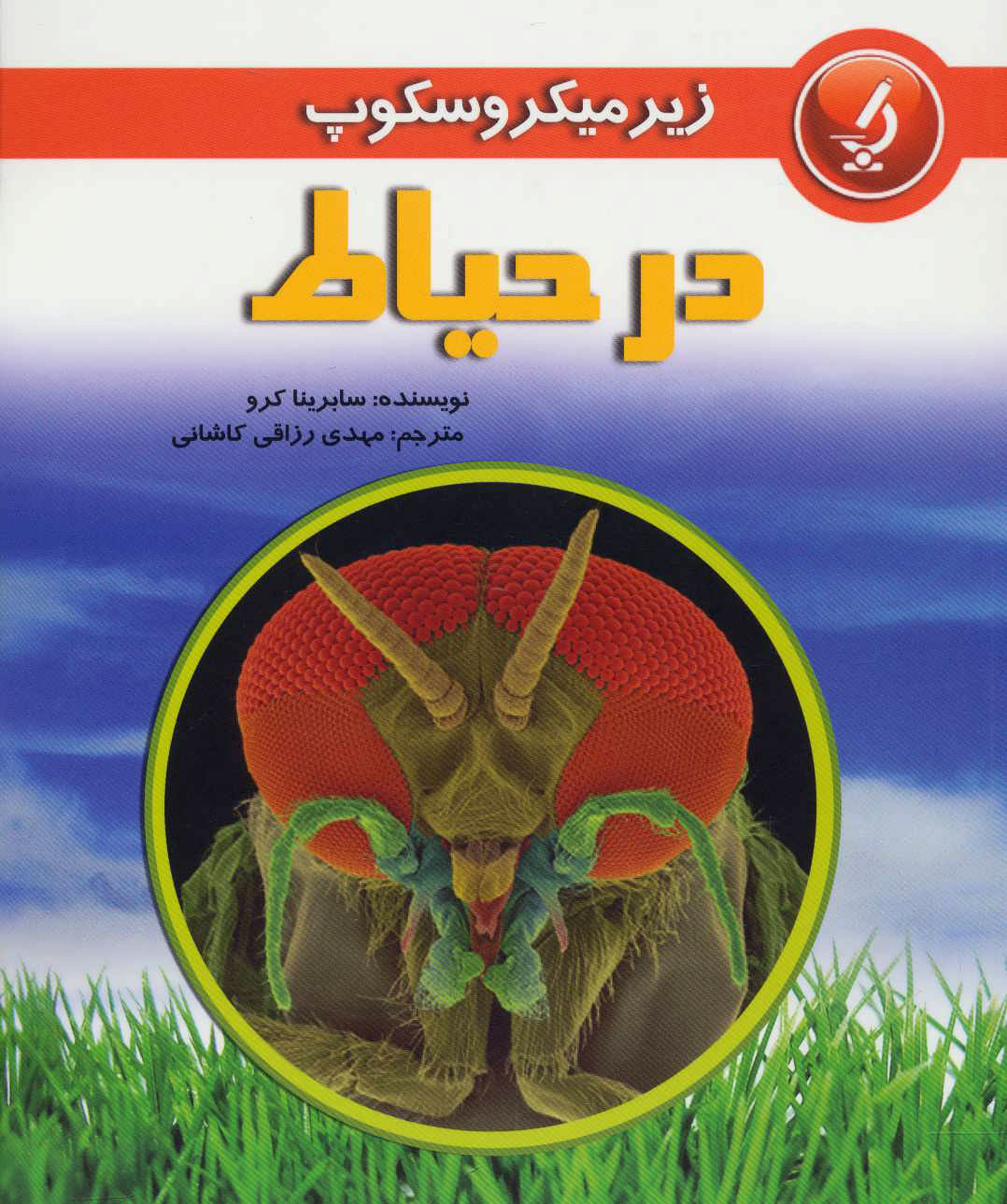 پایانه - در حیاط