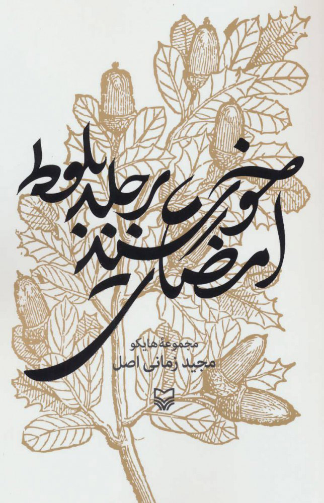 پایانه - امضای خورشید بر جلد بلوط