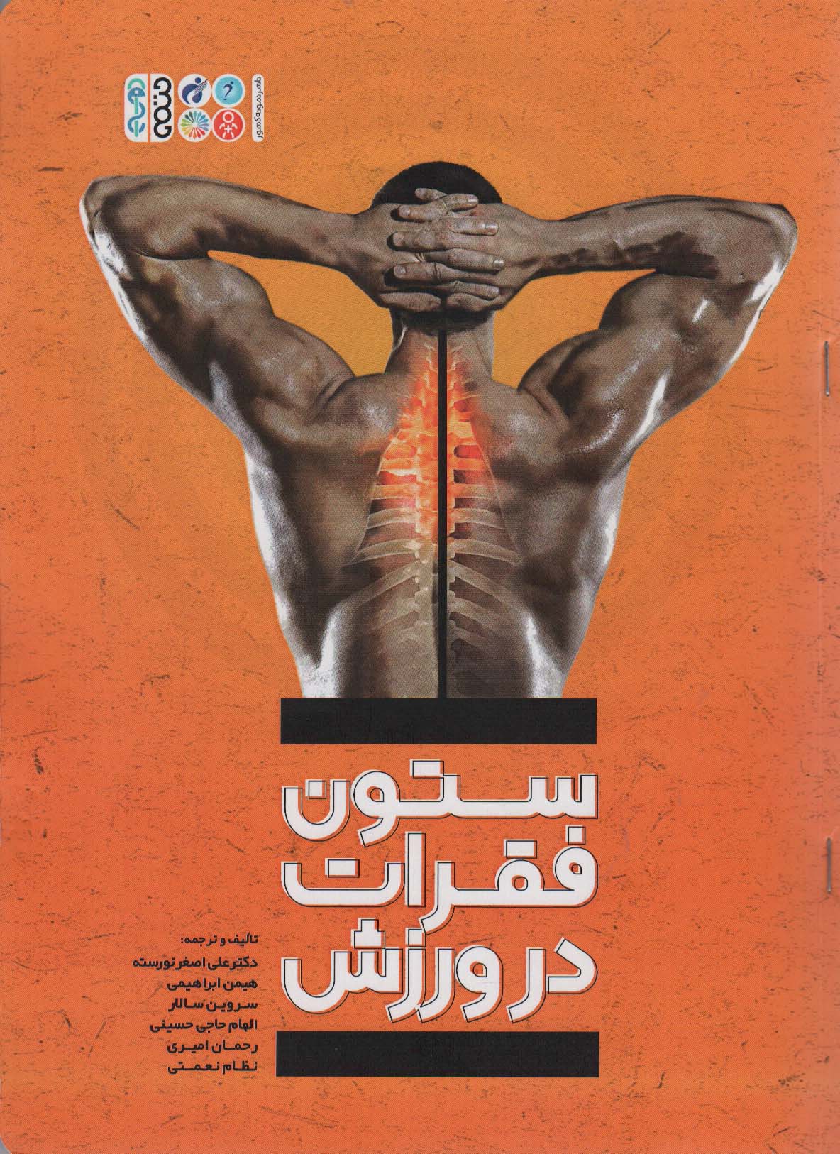 پایانه - ستون فقرات در ورزش