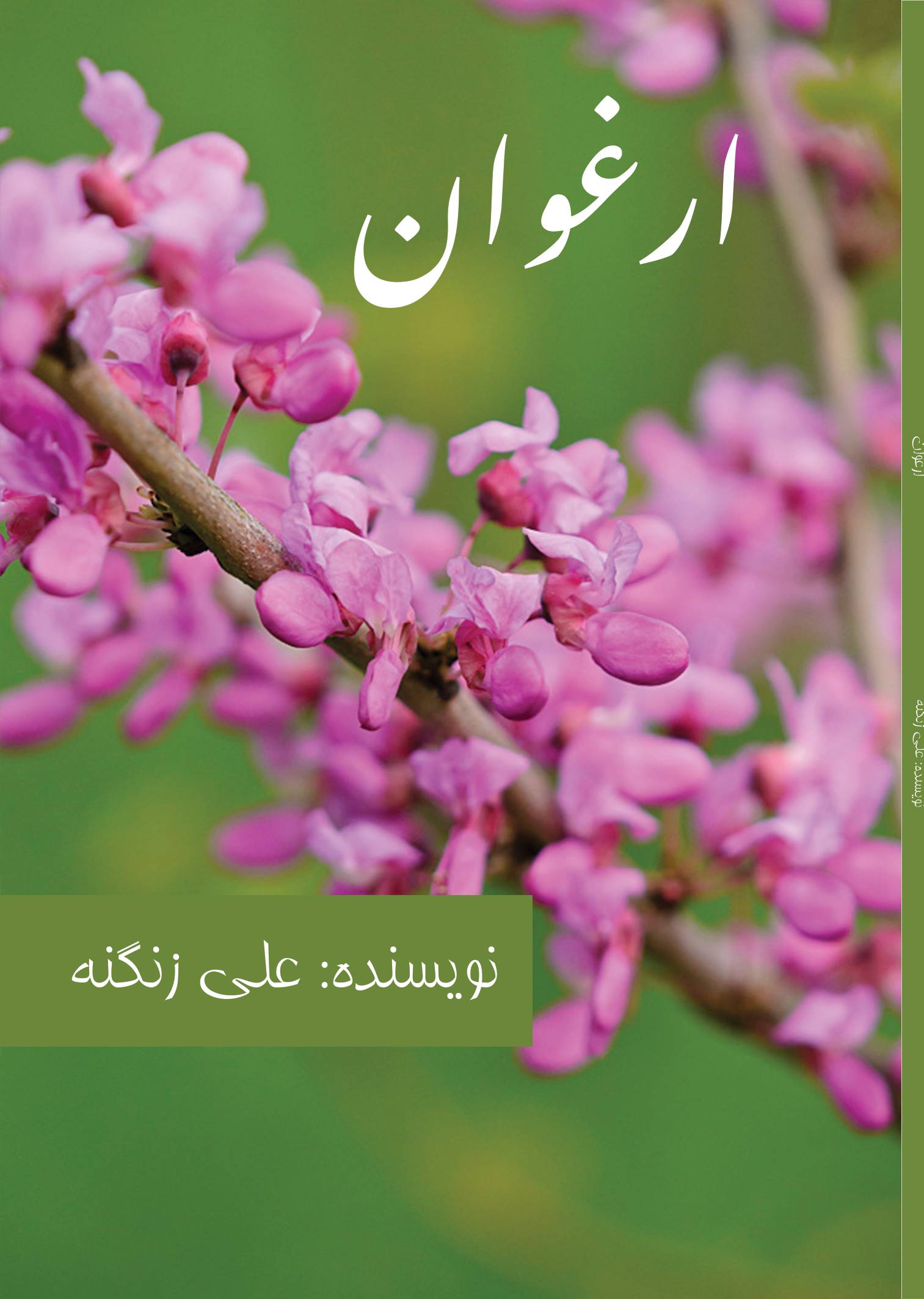 پایانه - ارغوان