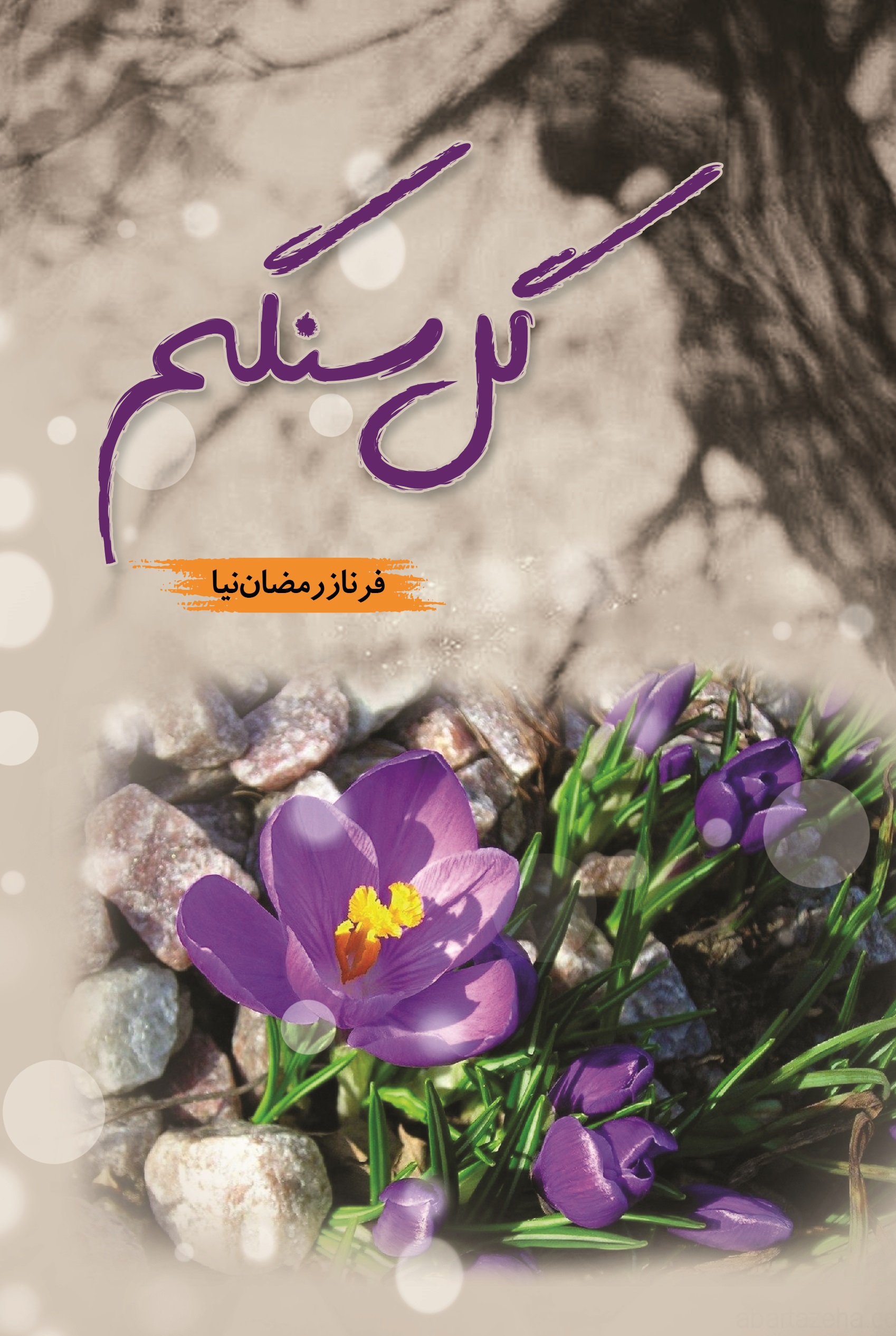 پایانه - گل سنگم