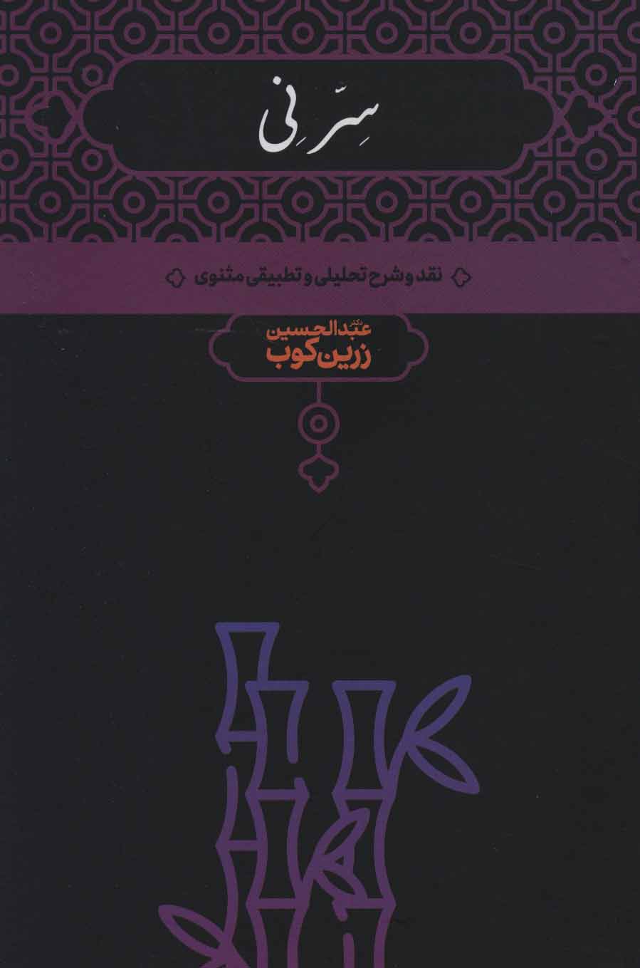 پایانه - سر نی (2جلدی)