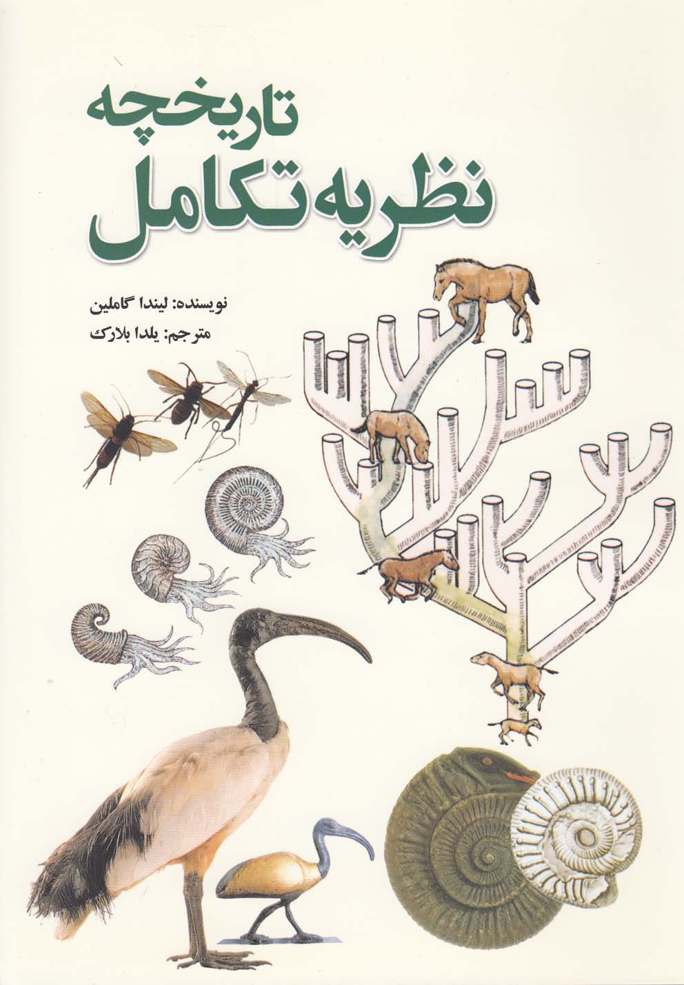 پایانه - تاریخچه نظریه تکامل