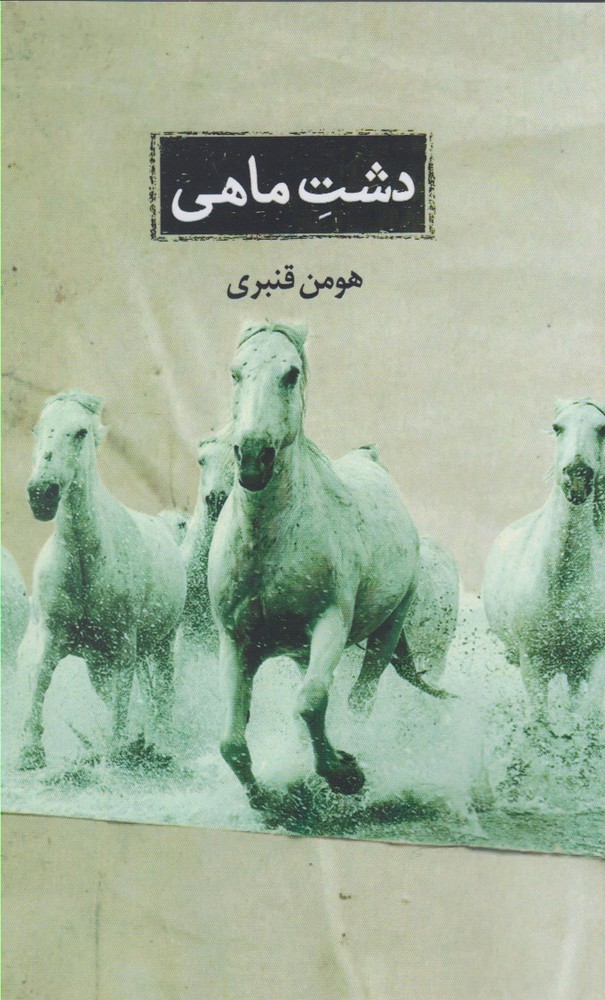 پایانه - دشت ماهی