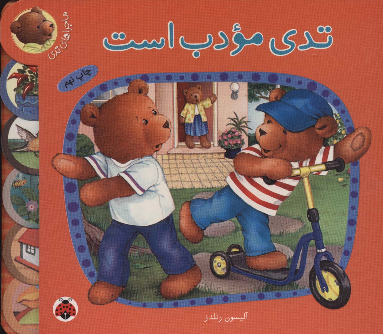 پایانه - تدی مودب است