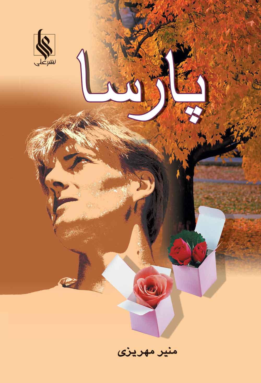 پایانه - پارسا