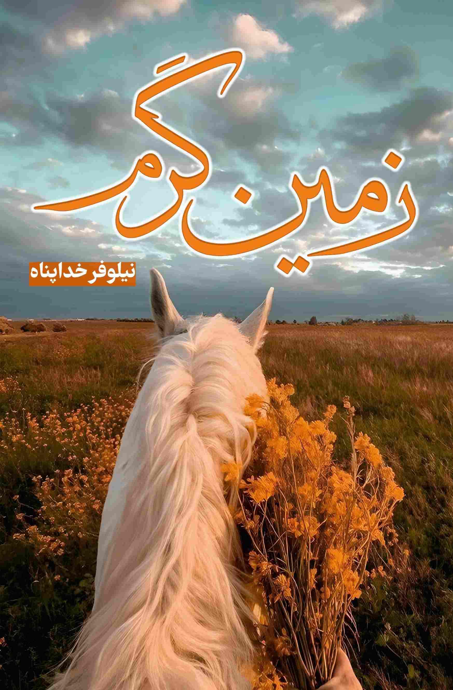 پایانه - زمین گرم