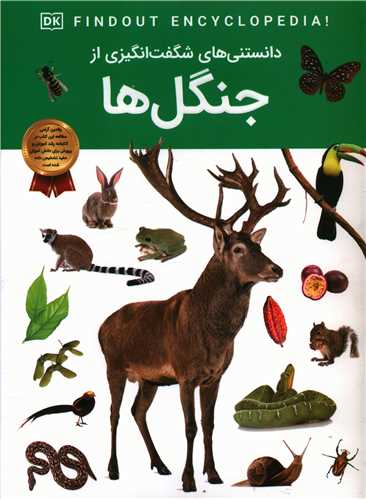 پایانه - دانستنی هایی شگفت انگیزی از جنگل ها