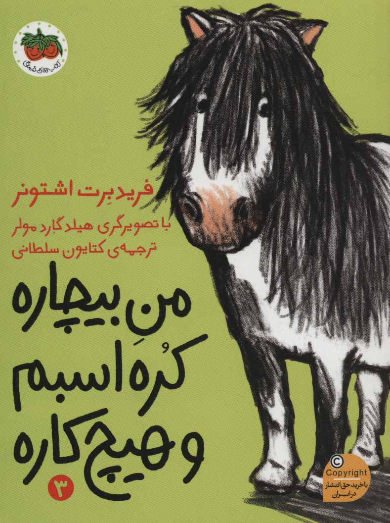 پایانه - من بیچاره کره اسبم و هیچ کاره