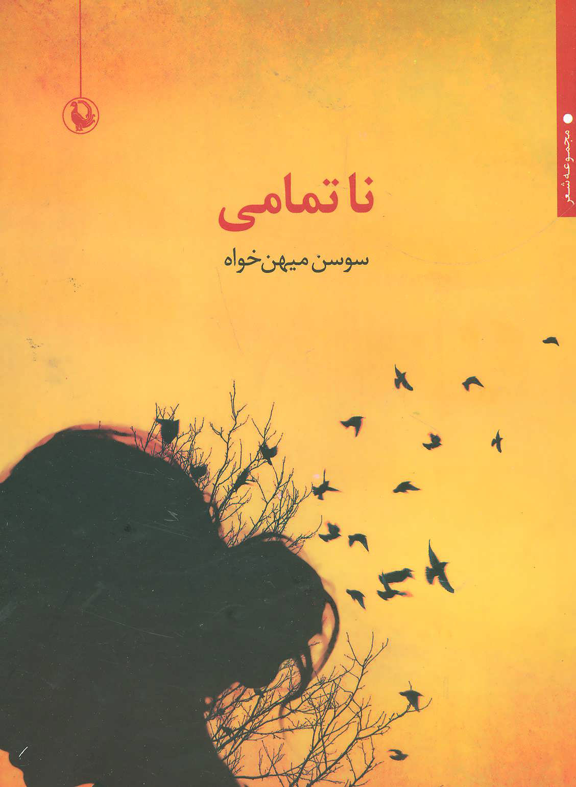 پایانه - ناتمامی