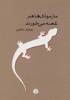 پایانه - مارمولک ها هم غصه می خورند