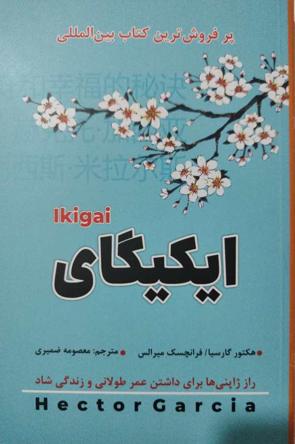 پایانه - ایکیگای