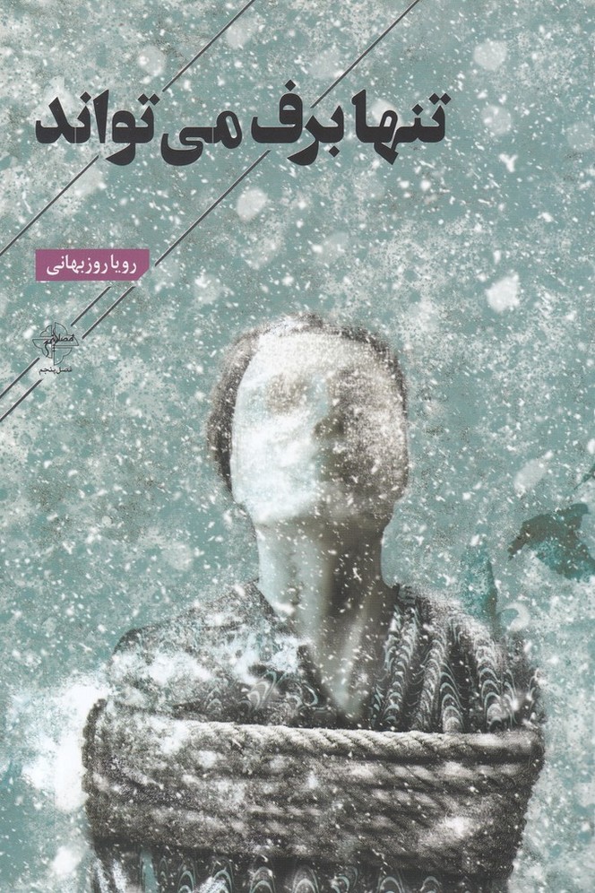 پایانه - تنها برف می تواند